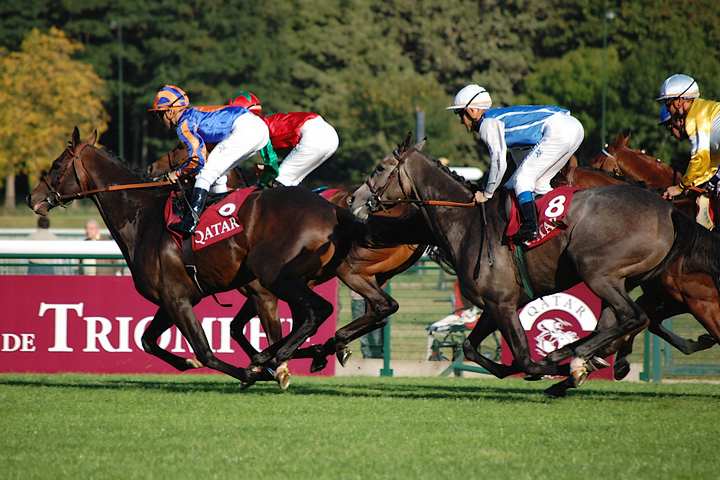 Horse racing in France
