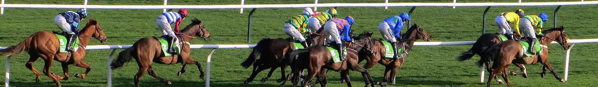 UK national hunt horse racing