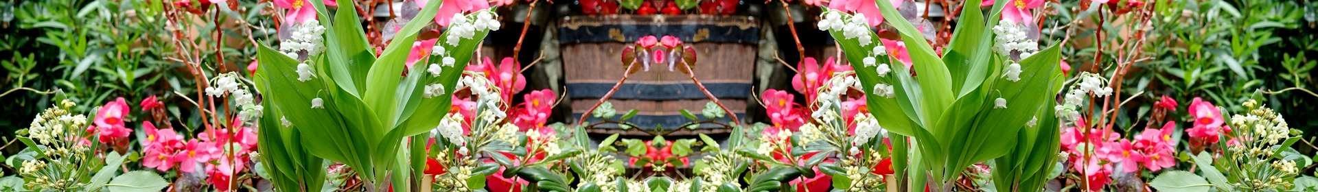 Exhibition of Vietnamese flora