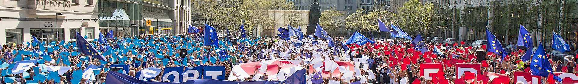 EU celebratory rally